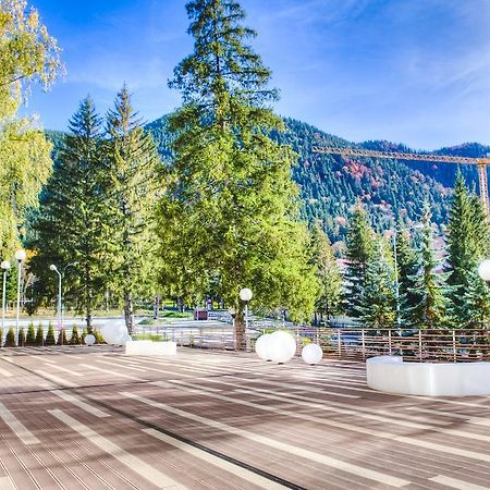 Отель Vila Pinul Si Mesteacanul Пояна-Брашов Экстерьер фото