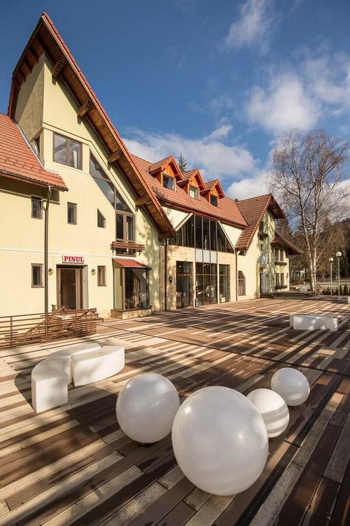 Отель Vila Pinul Si Mesteacanul Пояна-Брашов Экстерьер фото