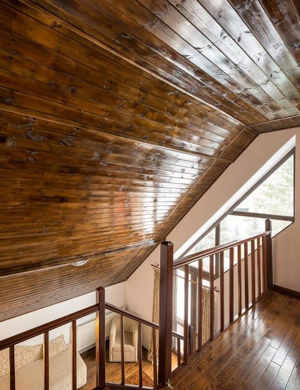 Отель Vila Pinul Si Mesteacanul Пояна-Брашов Экстерьер фото
