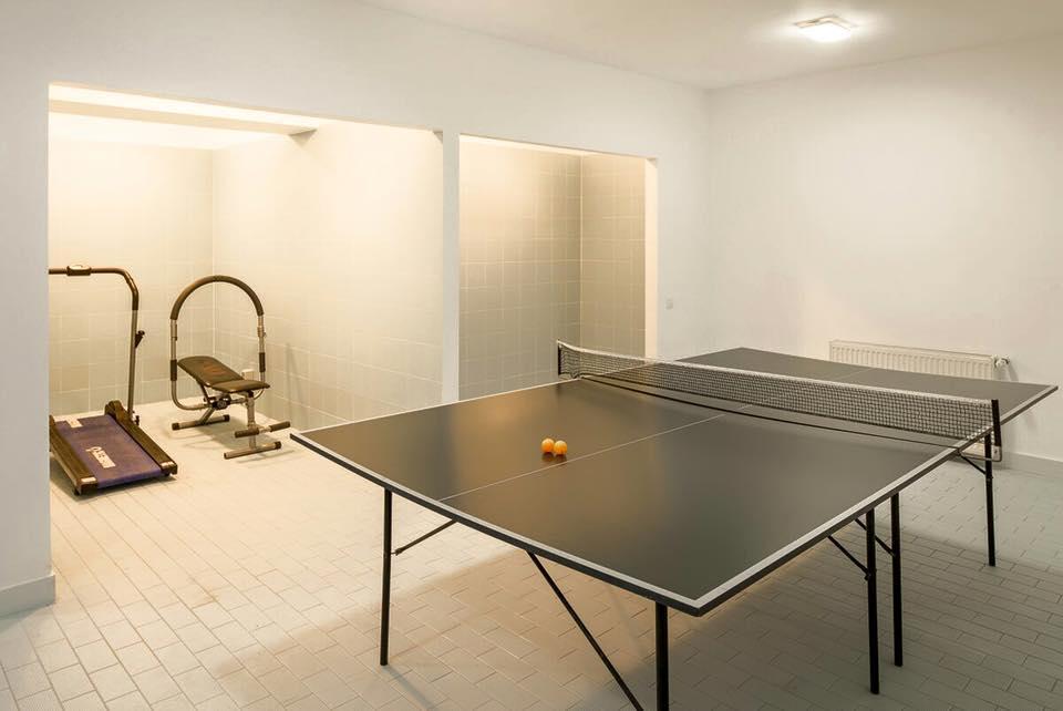 Отель Vila Pinul Si Mesteacanul Пояна-Брашов Экстерьер фото