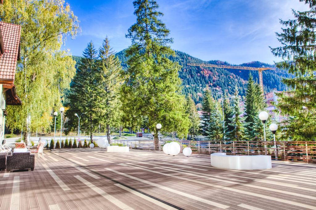 Отель Vila Pinul Si Mesteacanul Пояна-Брашов Экстерьер фото
